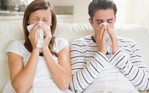 Viêm mũi dị ứng là bệnh gì