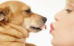 BỆNH NGỨA  DO SÁN CHÓ CÓ ĐIỀU TRỊ ĐƯỢC KHÔNG ?