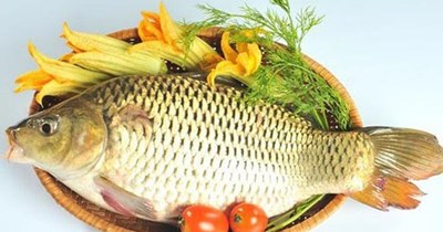 Những người bị bệnh gì không nên ăn cá chép